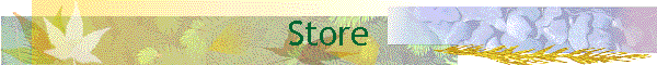 Store